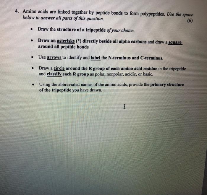 Solved 4. Amino acids are linked together by peptide bonds | Chegg.com