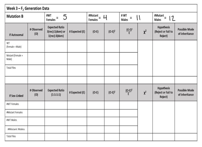 Complete chi square table with given data.#WT females | Chegg.com