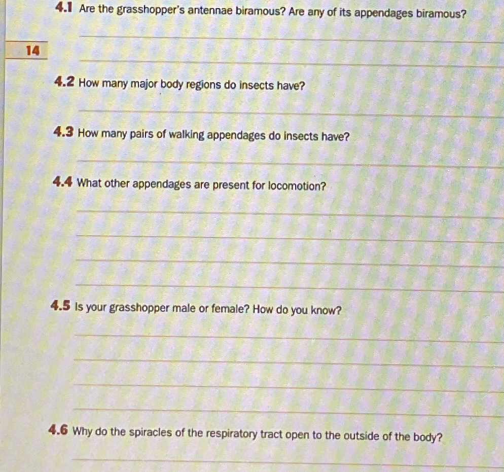 Solved 4.1 ﻿Are the grasshopper's antennae biramous? Are any | Chegg.com