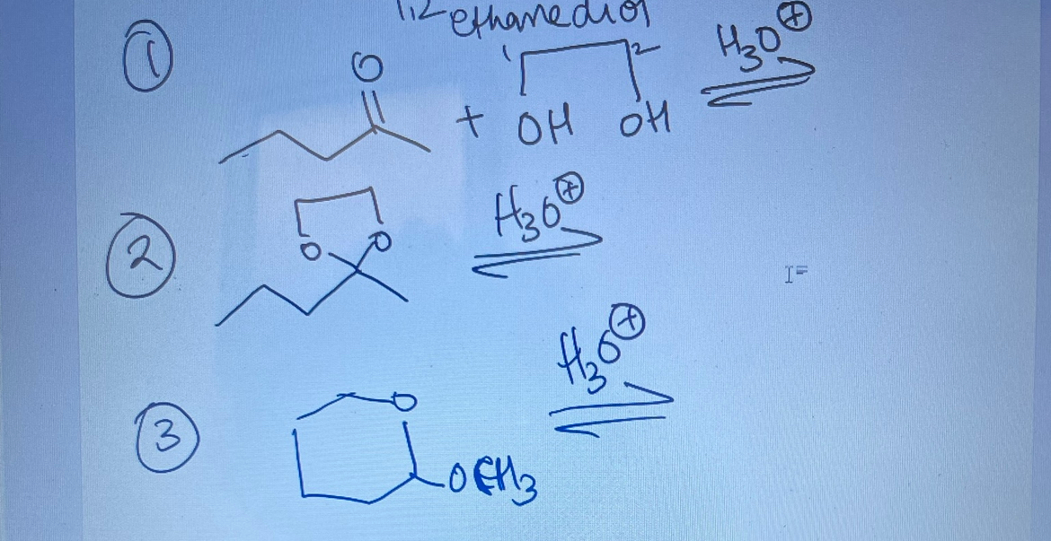 Solved write the forward and backward mechanism | Chegg.com