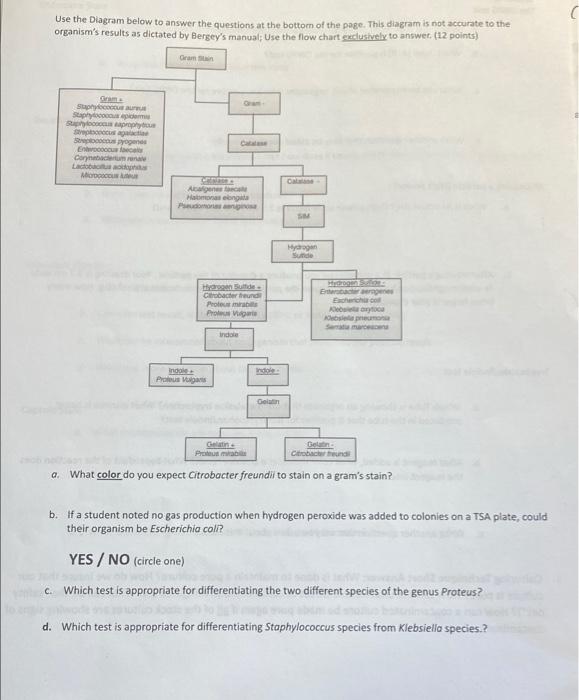 Solved Use The Diagram Below To Answer The Questions At The 