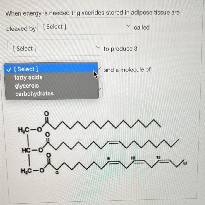 When energy is needed triglycerides stored in adipose tissue are
cleaved by [Select]
called
[Select]
to produce 3
? [Select]
