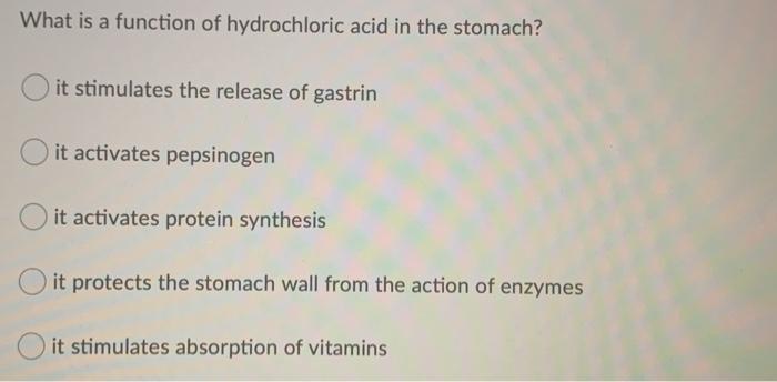 hydrochloric acid in the stomach