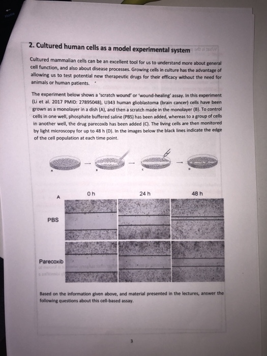 Human cells can be used to test drugs