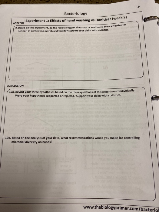 Solved 44 ANALYSIS Bacteriology Experiment 1: Effects of | Chegg.com