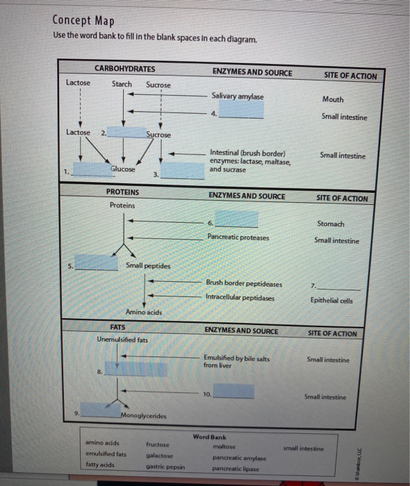 solved-concept-map-use-the-word-bank-to-fill-in-the-blank-chegg