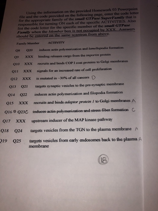Solved Using the information on the provided Homework 03 | Chegg.com