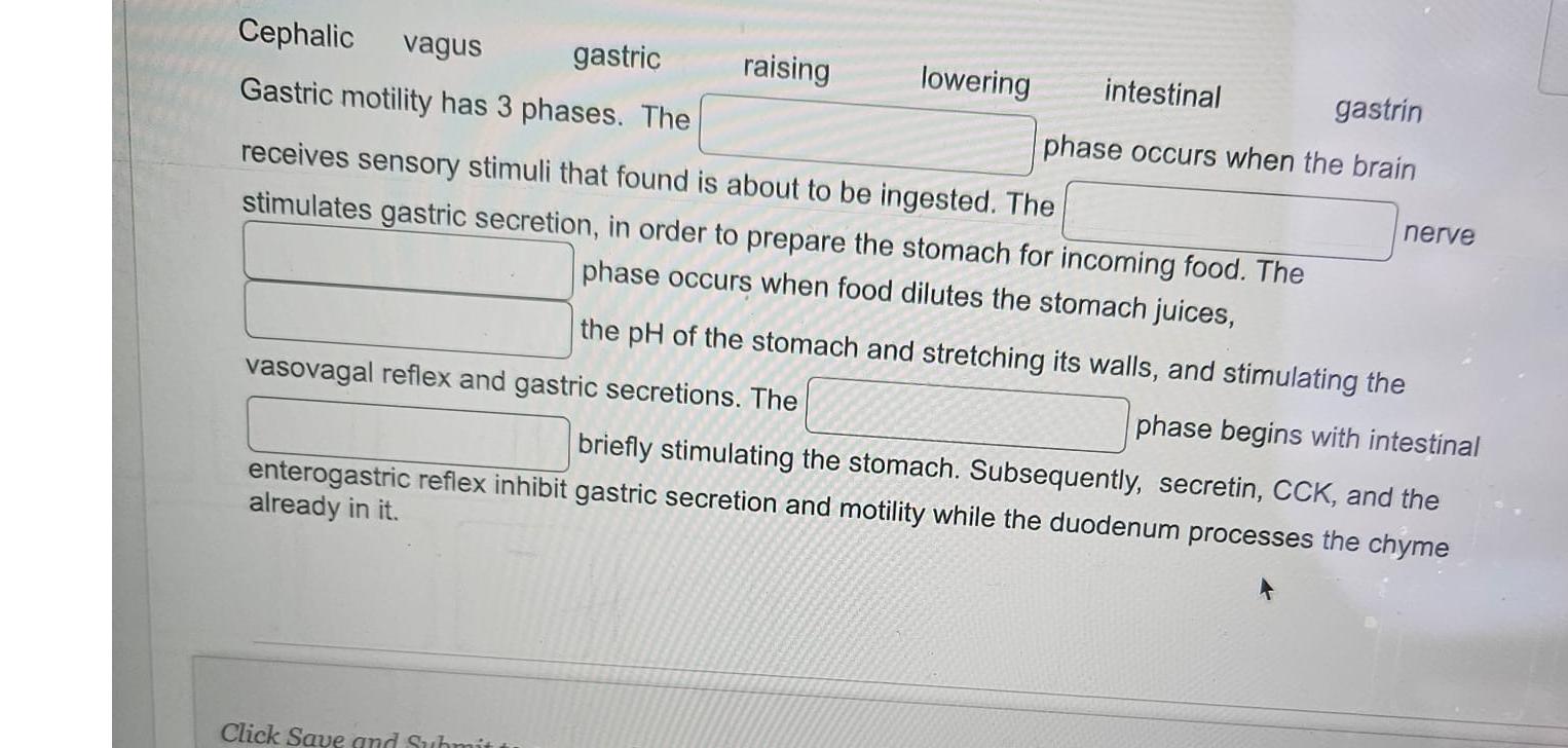 Solved Cephalicvagusgastric 