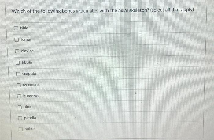 Solved Which Of The Following Bones Articulates With The | Chegg.com