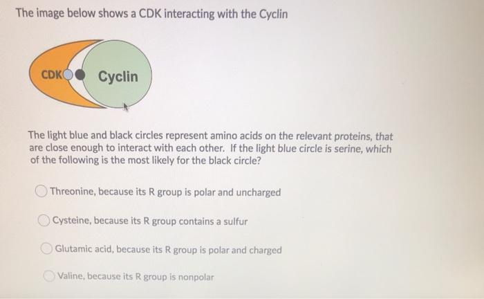 Solved The image below shows a CDK interacting with the | Chegg.com