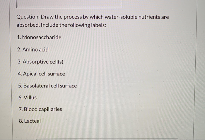 Solved Question: Draw the process by which water-soluble | Chegg.com