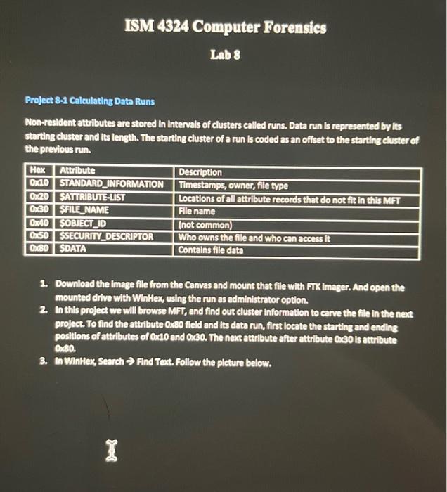 Project 8.1 Calculating Data Runs Nonresident