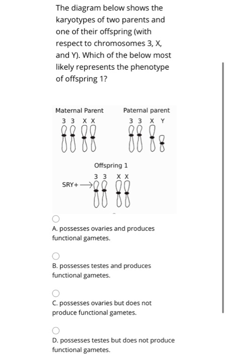 Solved The Diagram Below Shows The Karyotypes Of Two Parents | Chegg.com