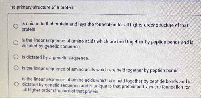 Solved The primary structure of a protein is unique to that | Chegg.com