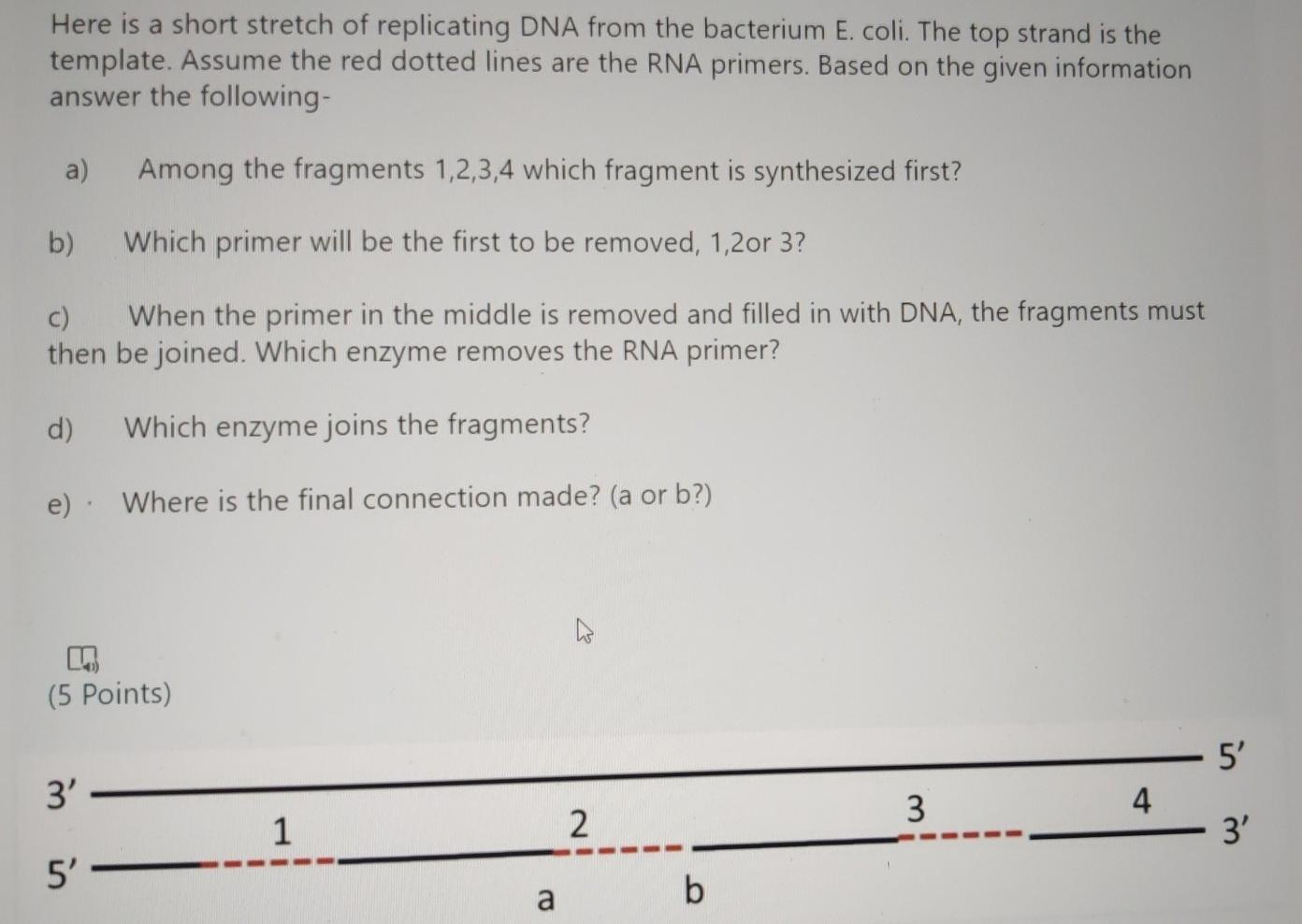 Solved a Here is a short stretch of replicating DNA from the | Chegg.com