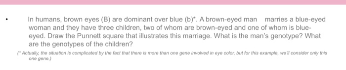 Solved In Humans Brown Eyes B Are Dominant Over Blue 1338