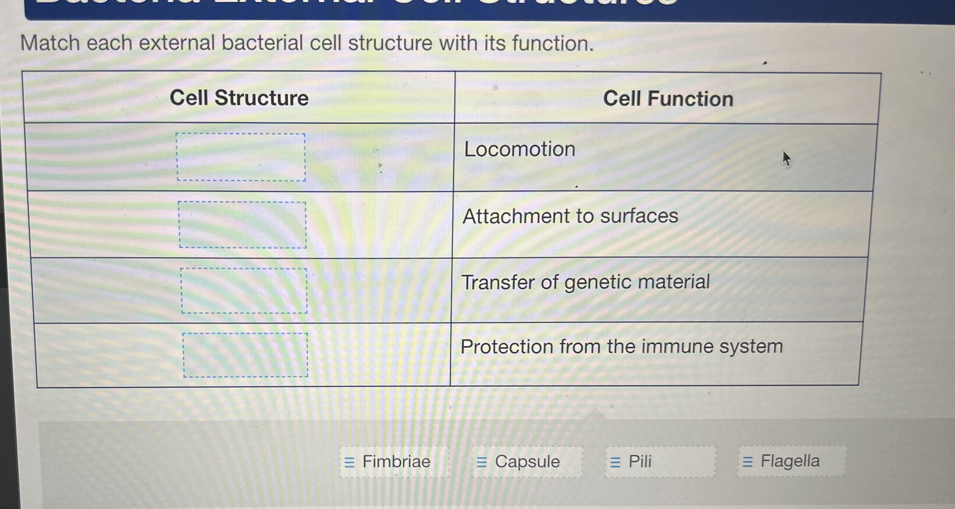 Solved Match each external bacterial cell structure with its | Chegg.com