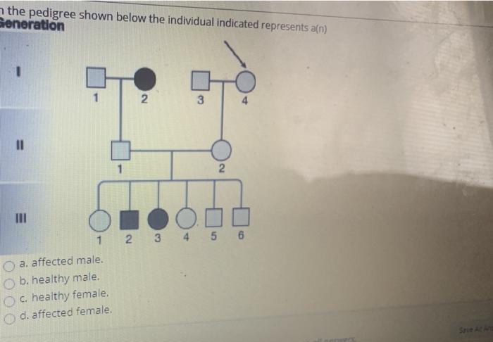 Solved QUESTION 4 in the pedigree shown below the individual | Chegg.com
