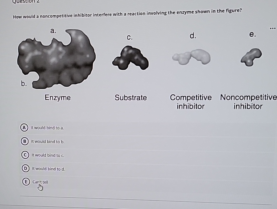 solved-how-would-a-noncompetitive-inhibitor-interfere-with-a-chegg