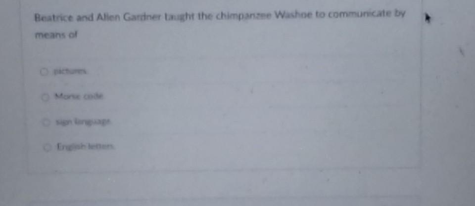 Solved what of the following is an exa.ple of cultural Chegg