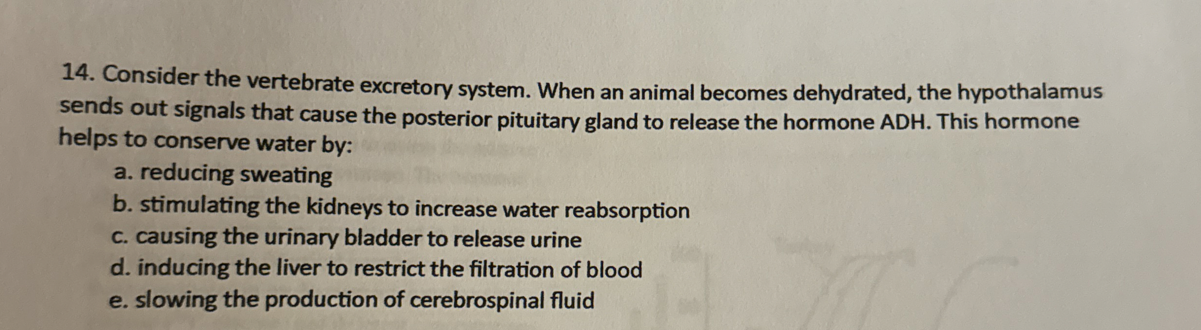 Solved Consider the vertebrate excretory system. When an