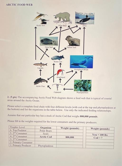 Solved ARCTIC FOOD WEB 2. (5 pts) The accompanying Aretic. | Chegg.com