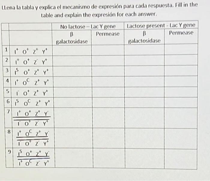 Llena la tabla y explica el mecanismo de expresión para cada respuesta. Fill in the table and explain the expresión for each