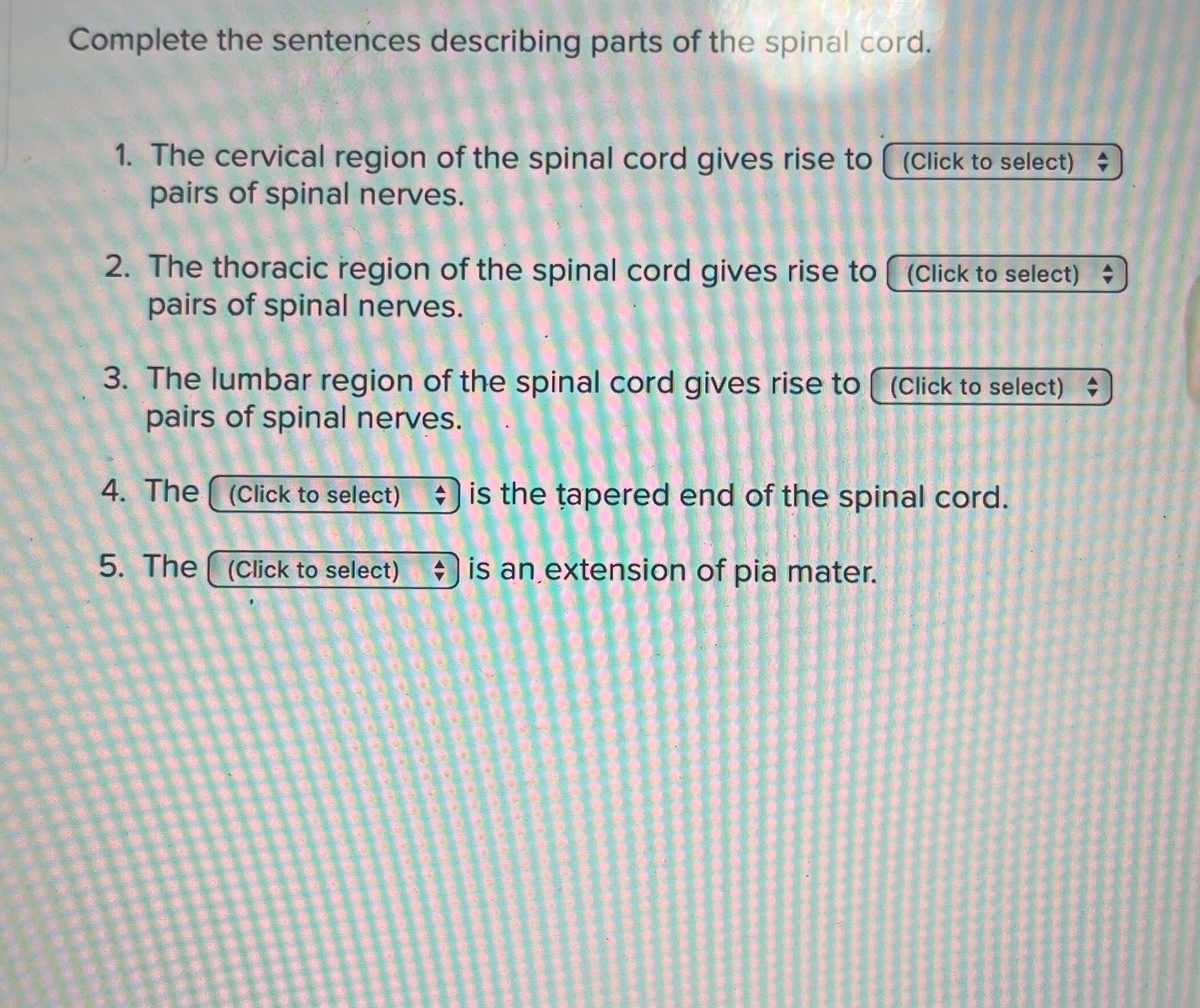 Solved Complete the sentences describing parts of the spinal | Chegg.com