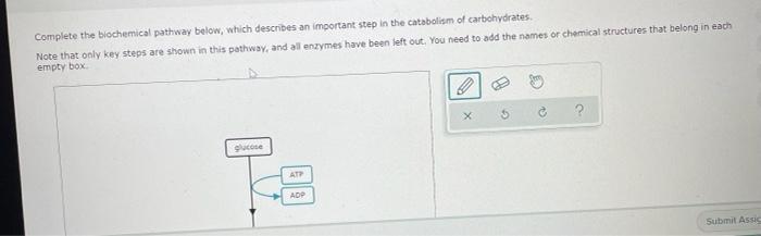 Solved Complete The Biochemical Pathway Below, Which | Chegg.com