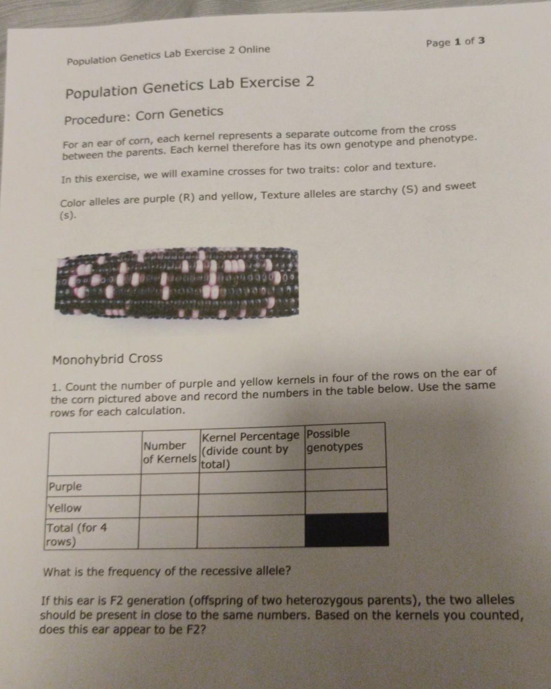 Page 1 Of 3 Population Genetics Lab Exercise 2 Online | Chegg.com