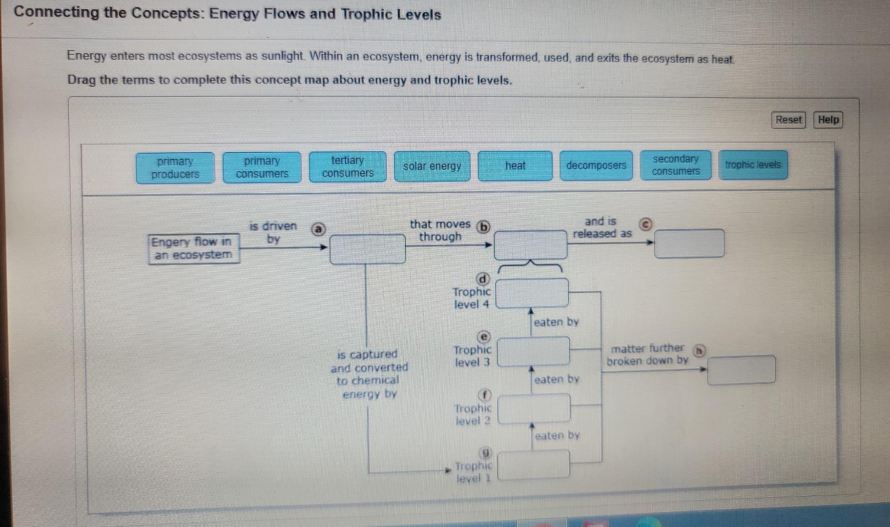 solved-connecting-the-concepts-energy-flows-and-trophic-chegg