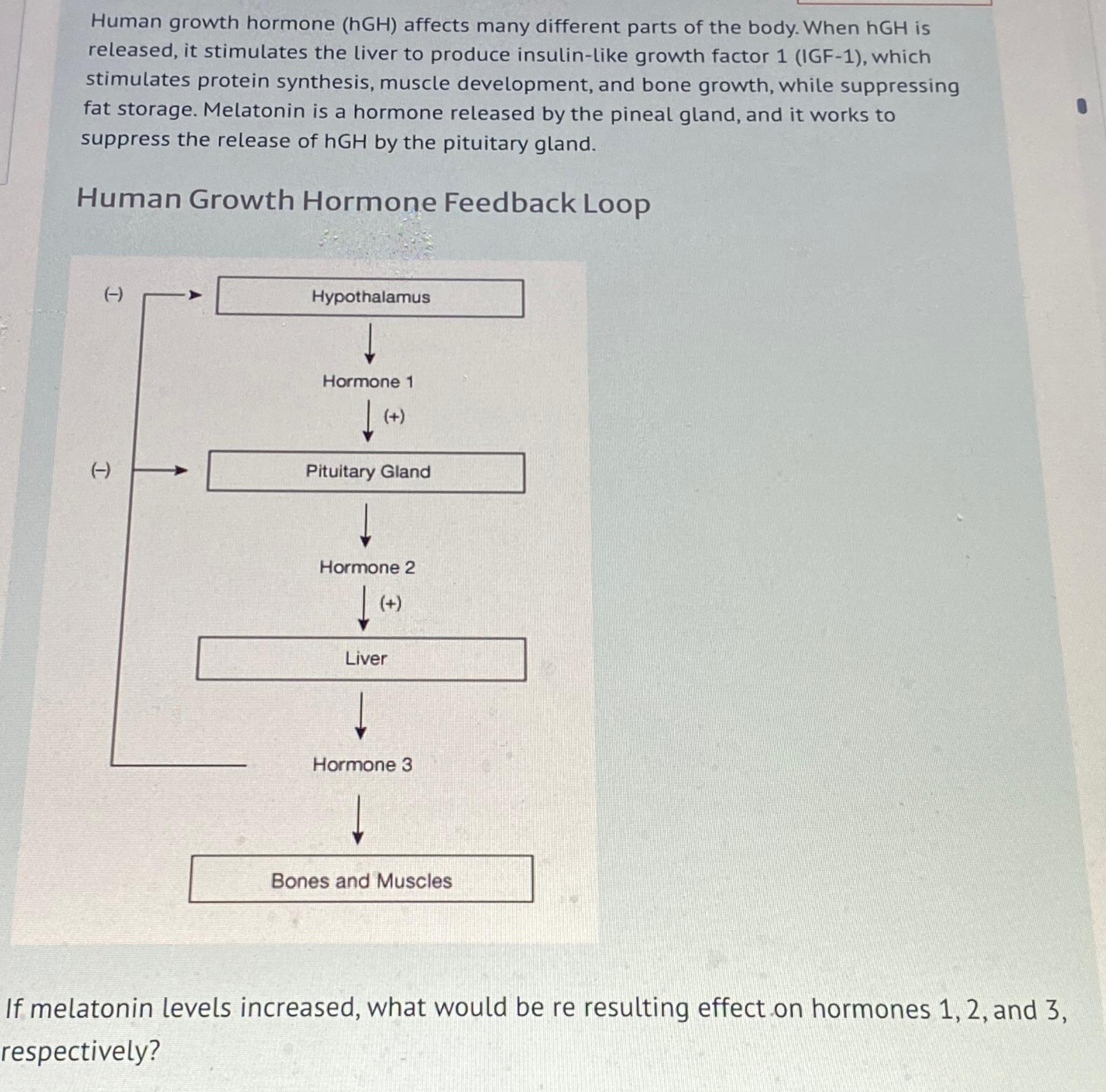 Solved Human growth hormone ( hGH ) ﻿affects many different | Chegg.com