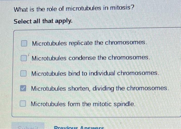 Solved What is the role of microtubules in mitosis? Select Biology Diagrams