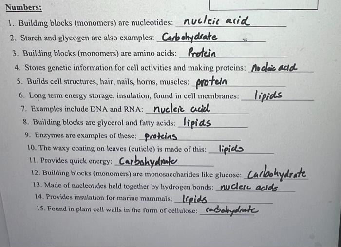 Solved 1. Building blocks (monomers) are nucleotides