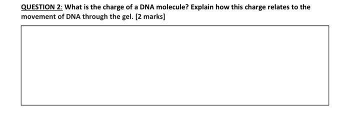 Which Charge Does a Molecule of DNA Have-Molecular Biology Explained