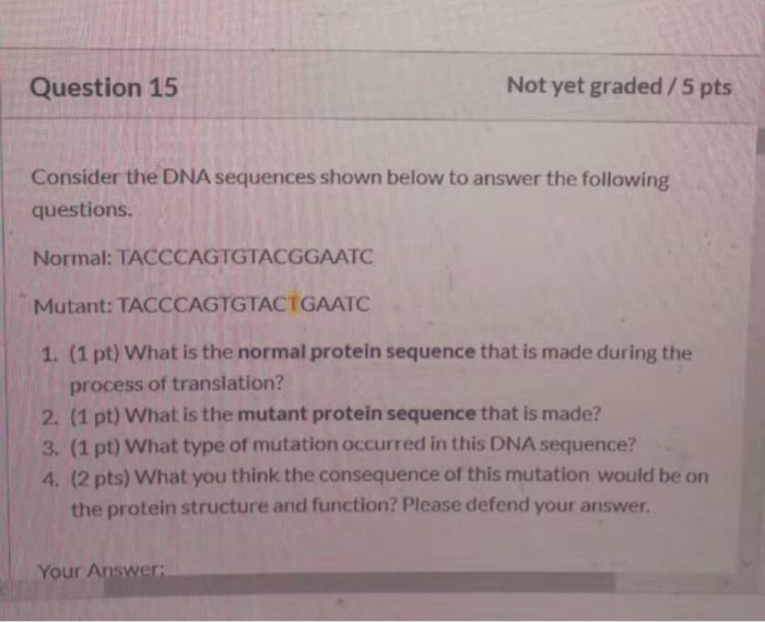 Solved Question 15 Not yet graded/5 pts Consider the DNA | Chegg.com