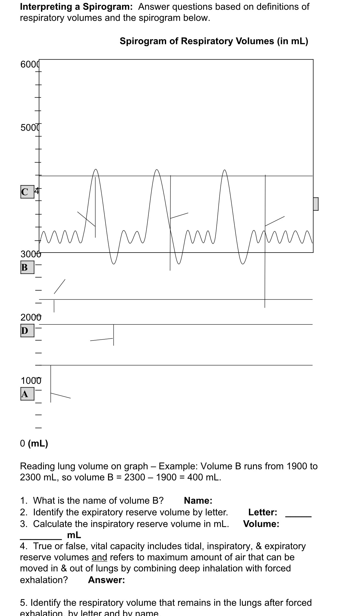 Solved 5:42 719Interpreting a Spirogram: Answer questions | Chegg.com