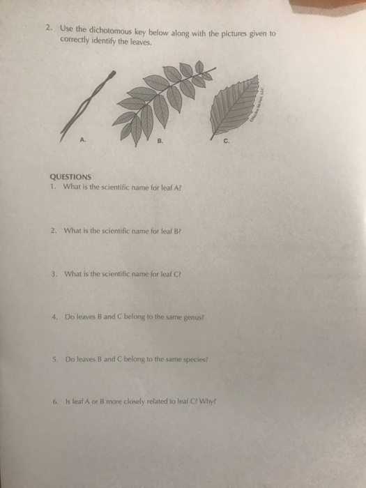 Solved 2 Use The Dichotomous Key Below Along With The Pi Chegg Com