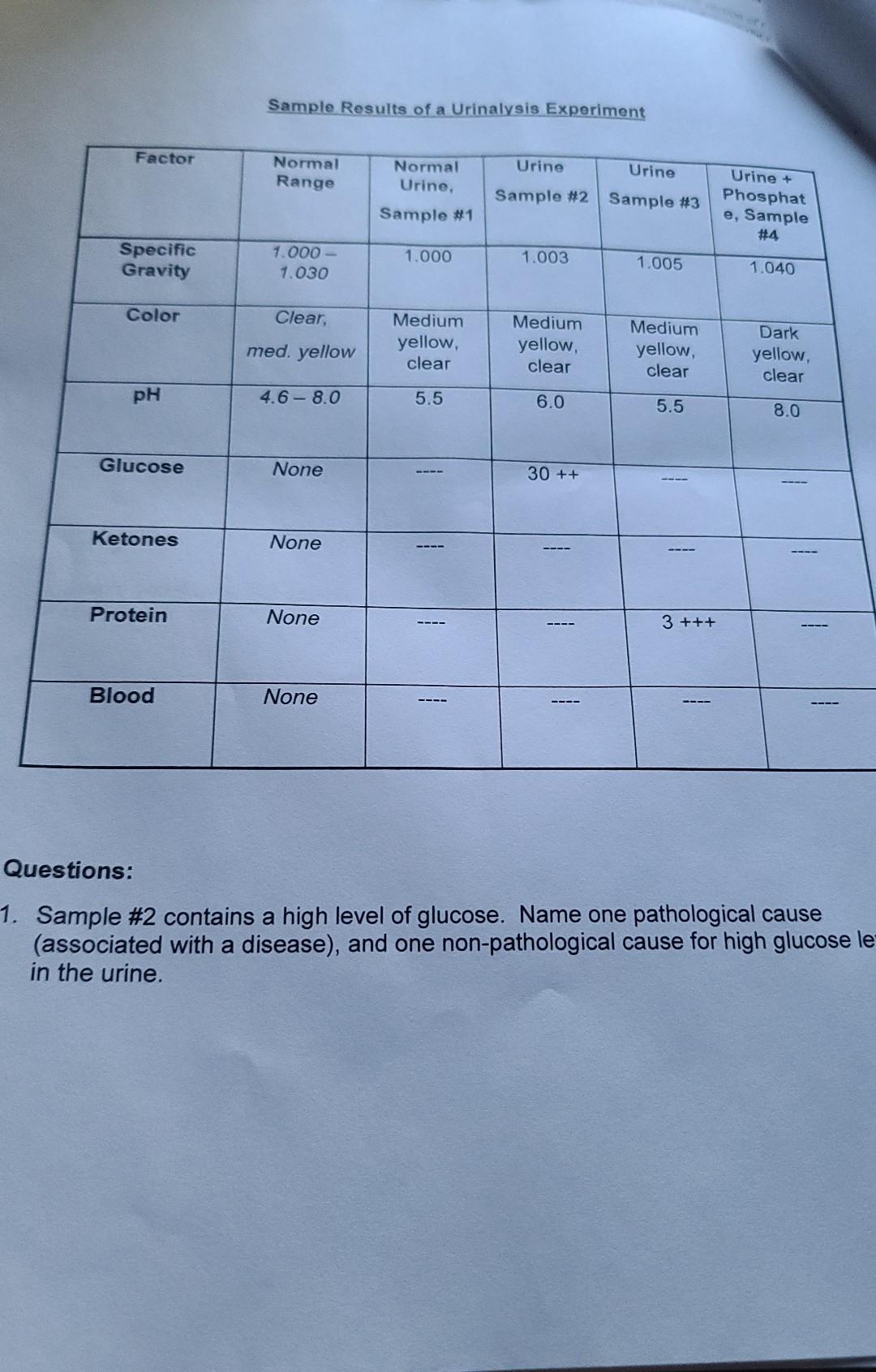 urinalysis experiment discussion