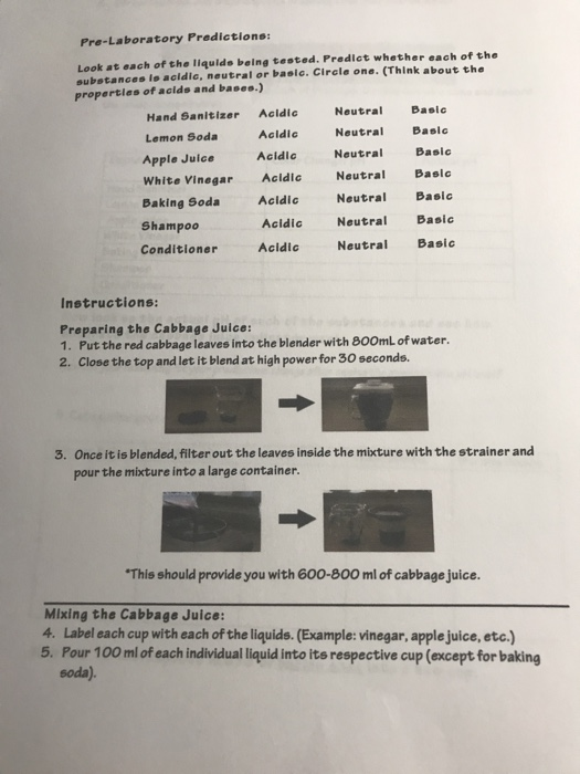 Solved Es ab Red Cabbage Lab Acids and Bases Introduction