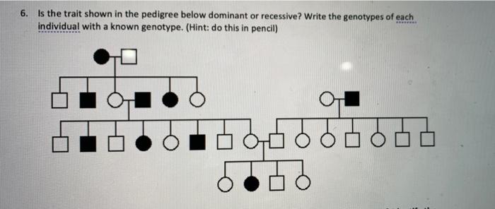 Solved 6. Is the trait shown in the pedigree below dominant | Chegg.com