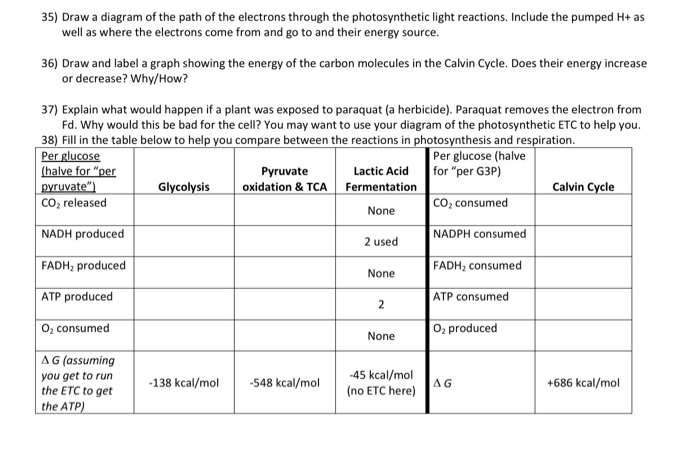 Solved 35) Draw a diagram of the path of the electrons | Chegg.com