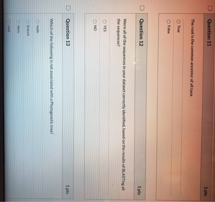 Solved Question 3 1 pts What was the purpose of the program | Chegg.com