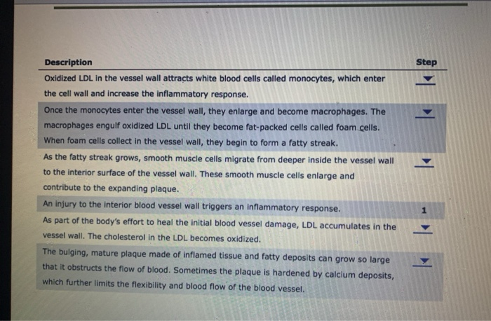 Solved The following diagram shows how an atherosclerosis