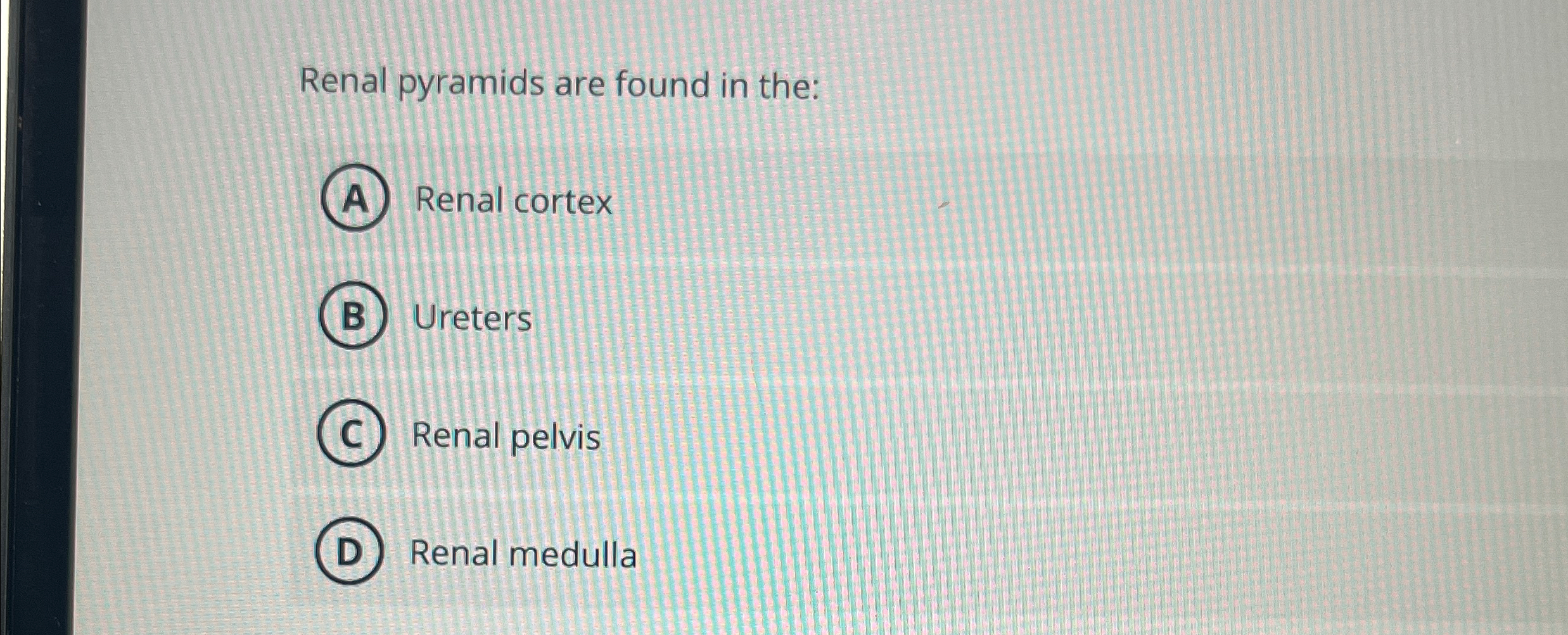 Solved Renal pyramids are found in the:Renal | Chegg.com
