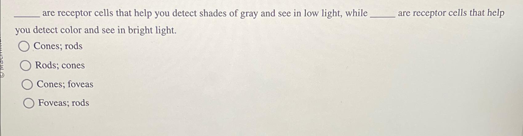 contains receptor cells that are sensitive to light