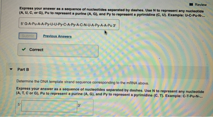 Solved The Amino Acid Sequence Of A Portion Of A Polypept Chegg Com