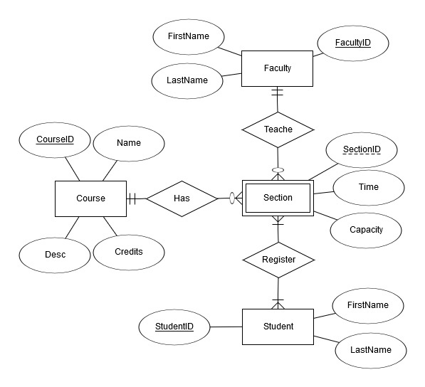 Solved Create the relational Schema for the following | Chegg.com