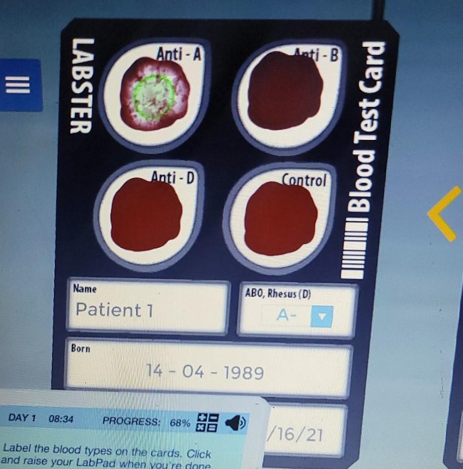 Labster Blood Test Card Answers Printable Cards