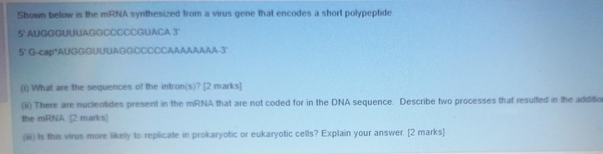 Solved Shown below is the mRNA synthesized from a virus gene | Chegg.com